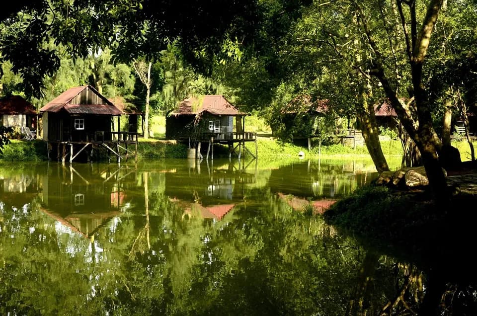 Bungalow nhà sàn ven hồ soi bóng dưới tán cây